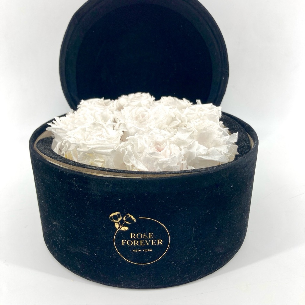 rose forever new york 9 Ecuador White roses in round velvet box